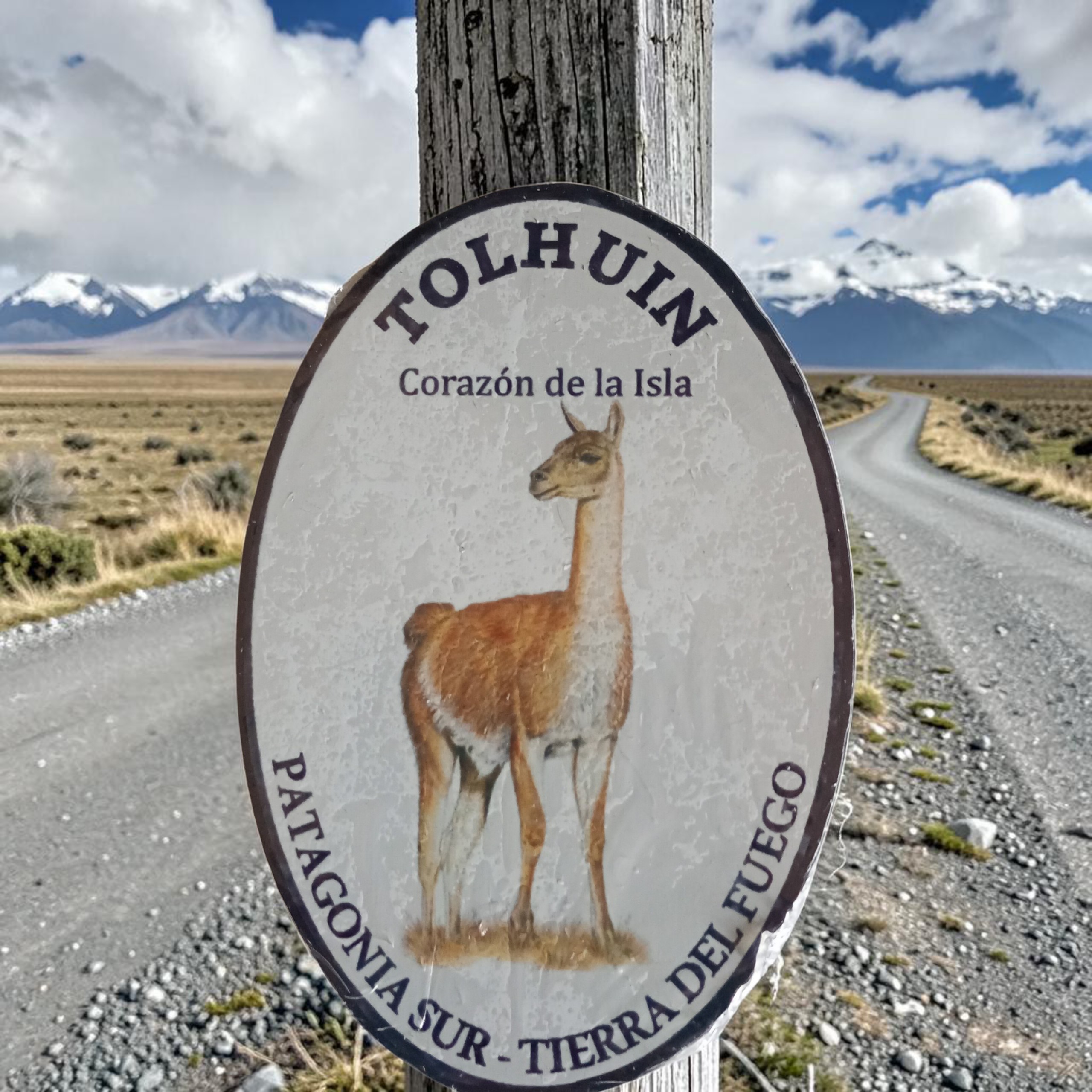 Imán chapa - guanaco