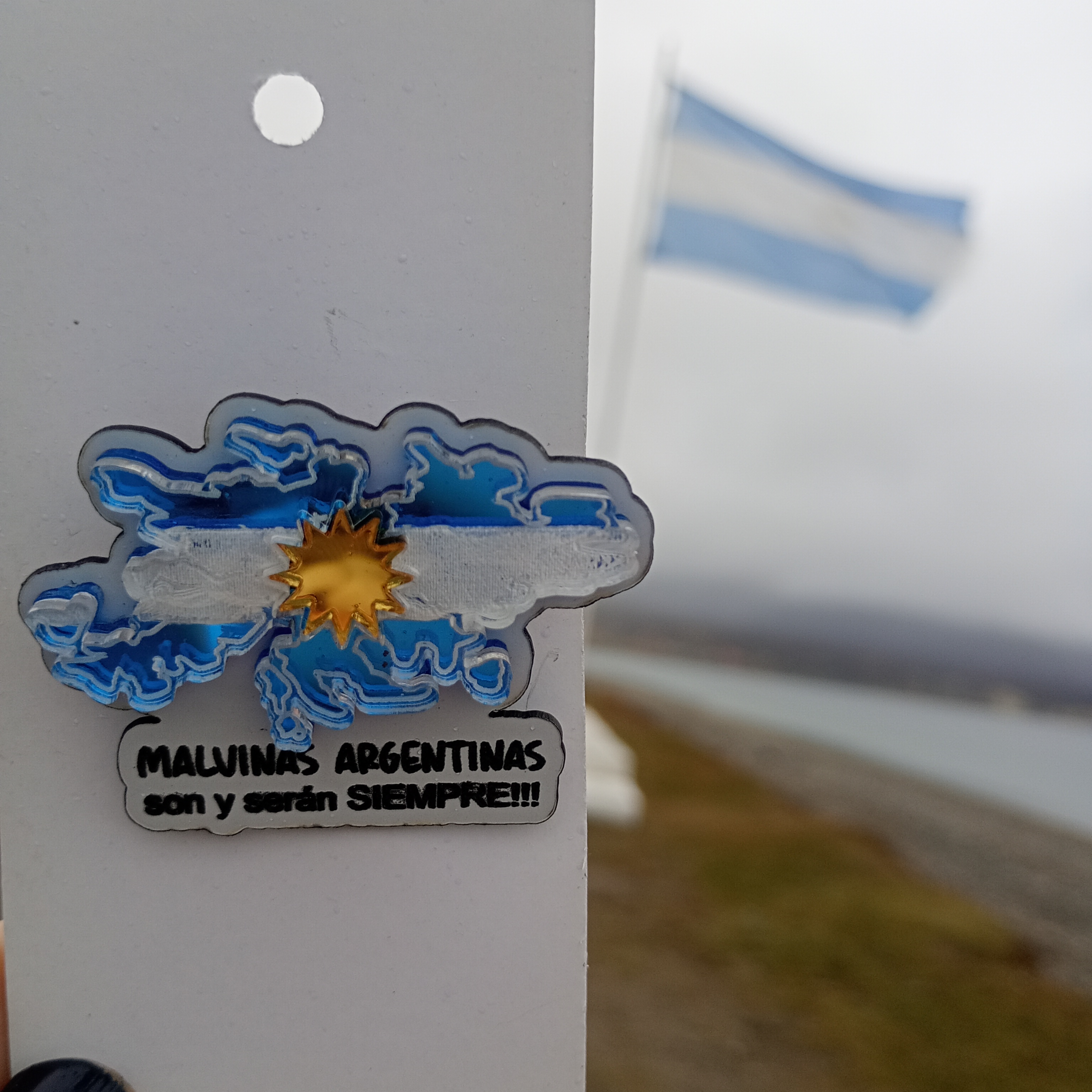 Pin de Las islas Malvinas
